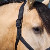 Imperial Riding Halster Sparkle - Zwart