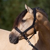 Imperial Riding Halster Sparkle - Zwart