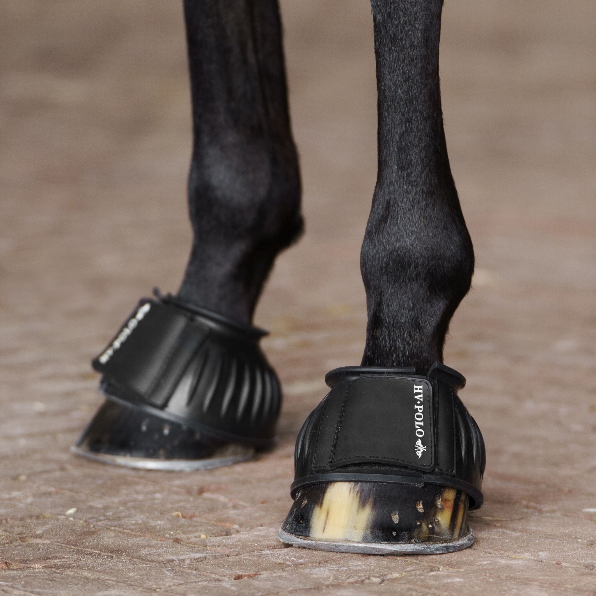HV Polo Springschoenen HVPEssential - Zwart
