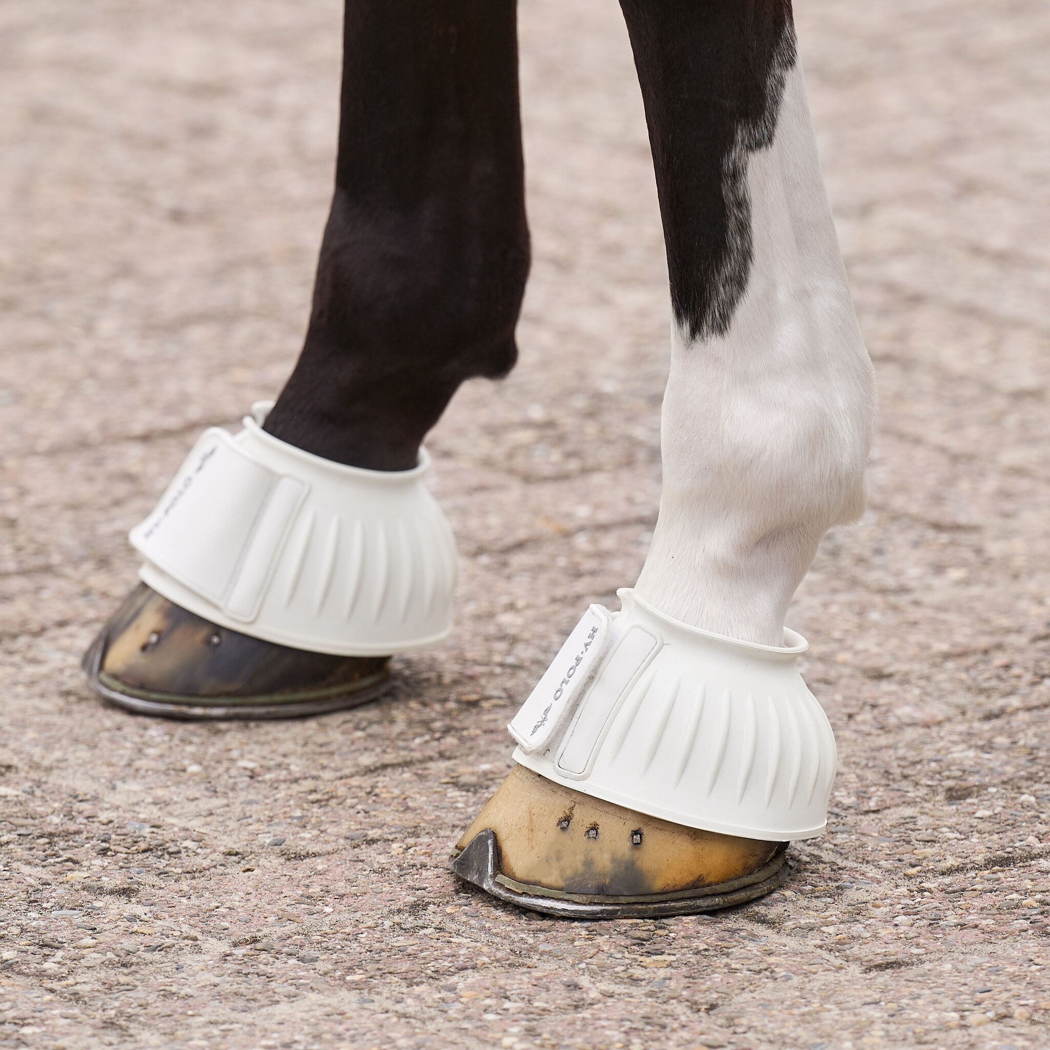 HV Polo Springschoenen HVPEssential - Wit