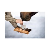 Horse Wipes Natural Clean 30 XXL wipes