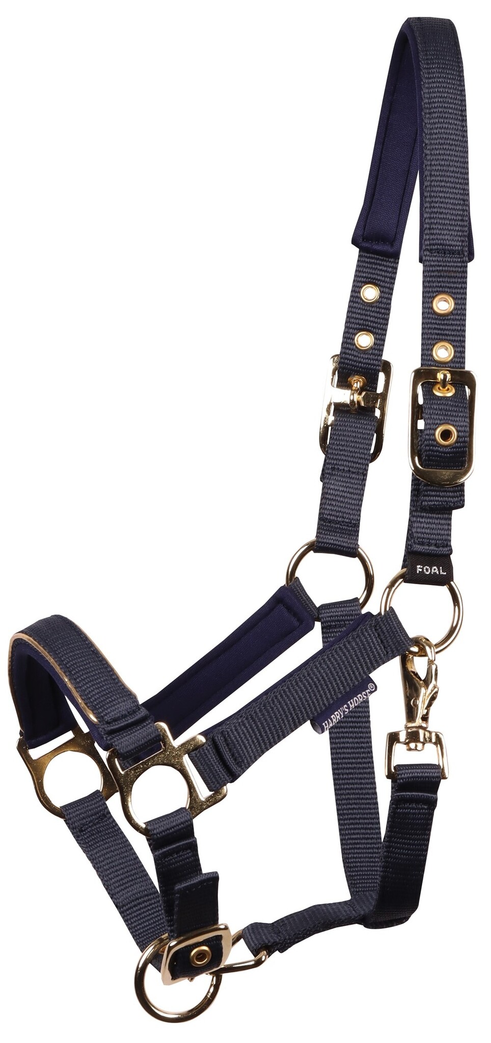 Harry's Horse Veulenhalster Pepper - Blueberry