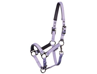 Harry's Horse Veulenhalster Pepper - Persian-Violet