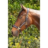 Harry's Horse Halsterset Valli - Blueberry