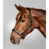 Waldhausen X-Line leren Halster Crystal - Zwart