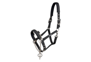 Waldhausen Pro Veiligheidshalster - Met Hengstenketting - Zwart