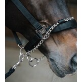 Waldhausen Pro Veiligheidshalster - Met Hengstenketting - Zwart