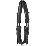 Harry's Horse  Longeersingel Sharskin