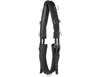 Harry's Horse  Longeersingel Sharskin