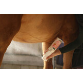 Ravene Easy Sine Intens Spray Mane & Coat - 500 ml