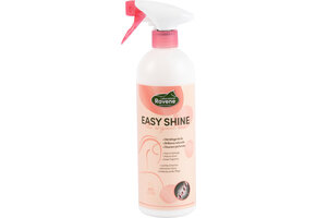 Ravene Easy Shine Antiklit Original - 750 ml