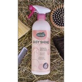 Ravene Easy Shine Antiklit Original - 750 ml