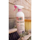 Ravene Easy Shine Antiklit Original - 750 ml