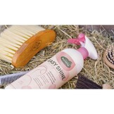 Ravene Easy Shine Antiklit Original - 750 ml