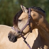 Imperial Riding Halster Classic Sport - Marble