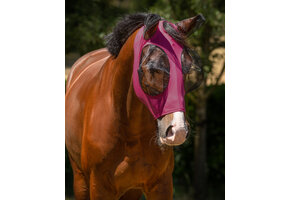 QHP Vliegenkap Super bug - Roze