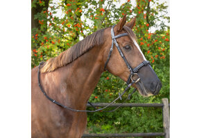 QHP Neusnetje - Zwart