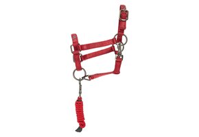 Imperial Riding Hobby Horse Halster set  Free Spirit - Rood