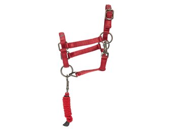 Imperial Riding Hobby Horse Halster set  Free Spirit - Rood