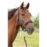 Harry's Horse Halsterset Just Ride NightSky - Navy