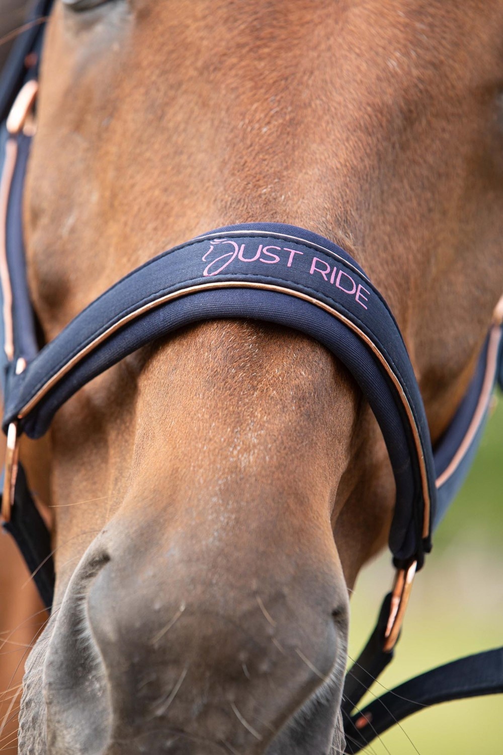 Harry's Horse Halsterset Just Ride NightSky - Navy