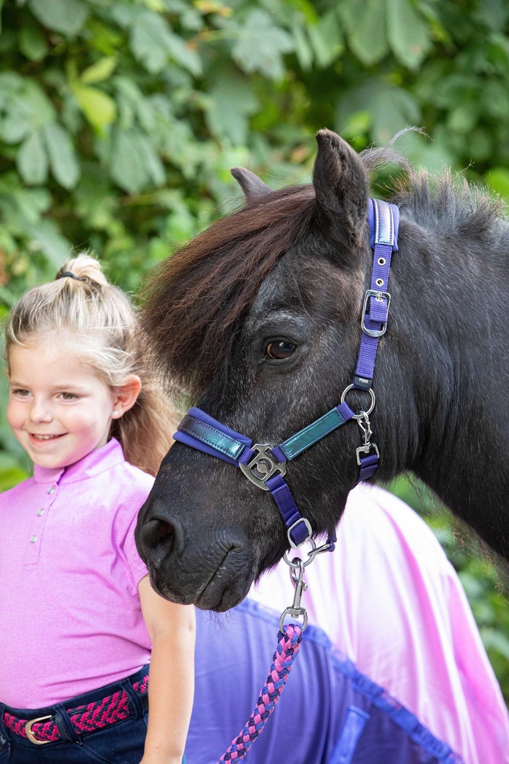 Harry's Horse Halsterset Diva Violet - Wisteria