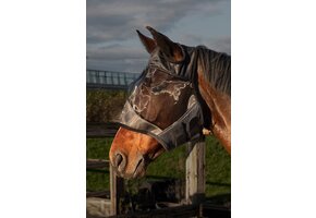Harry's Horse Vliegenmasker Flyshield zonder oren - Zwart
