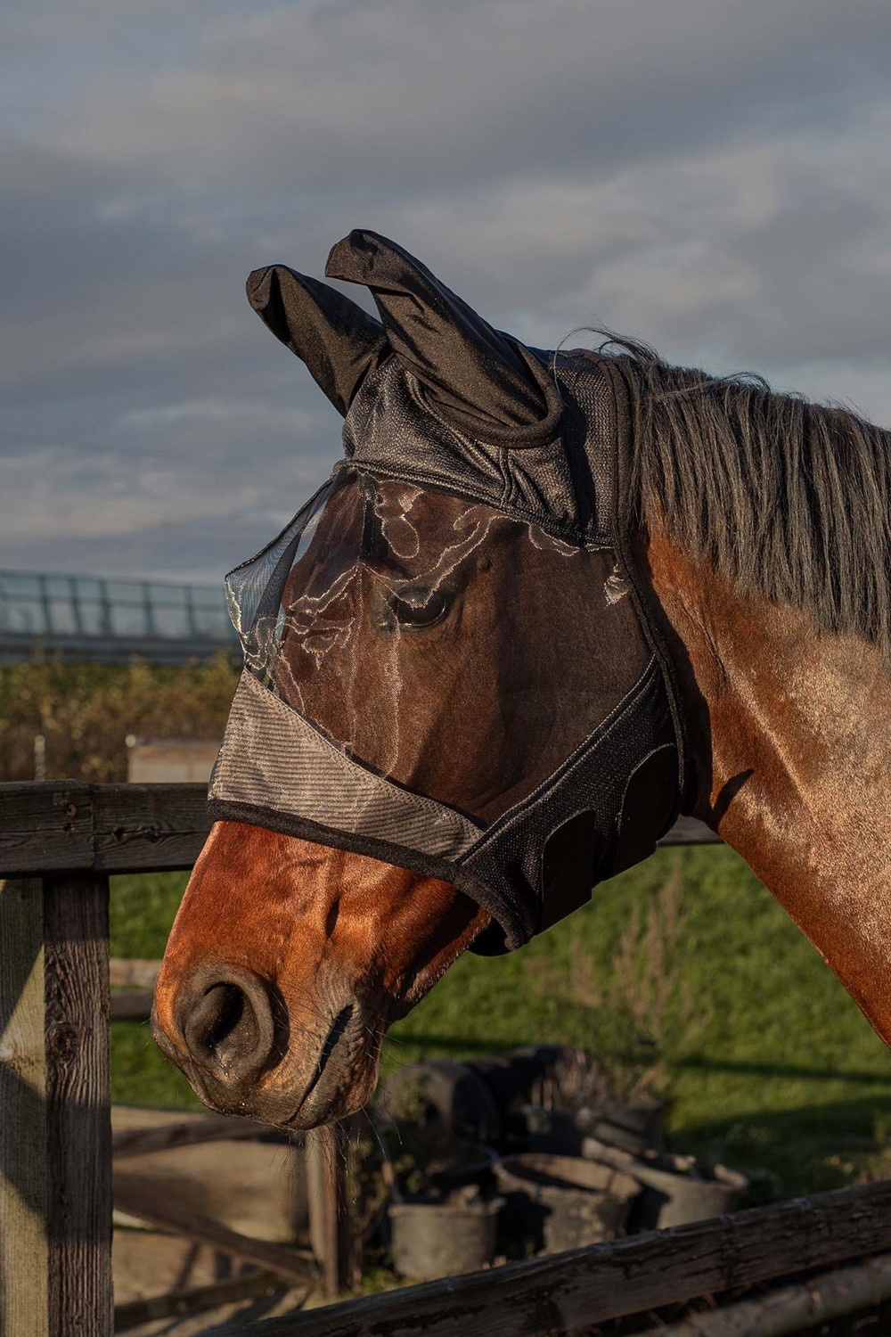 Harry's Horse Vliegenmasker Flyshield bamboo lining - Met Oren - Zwart