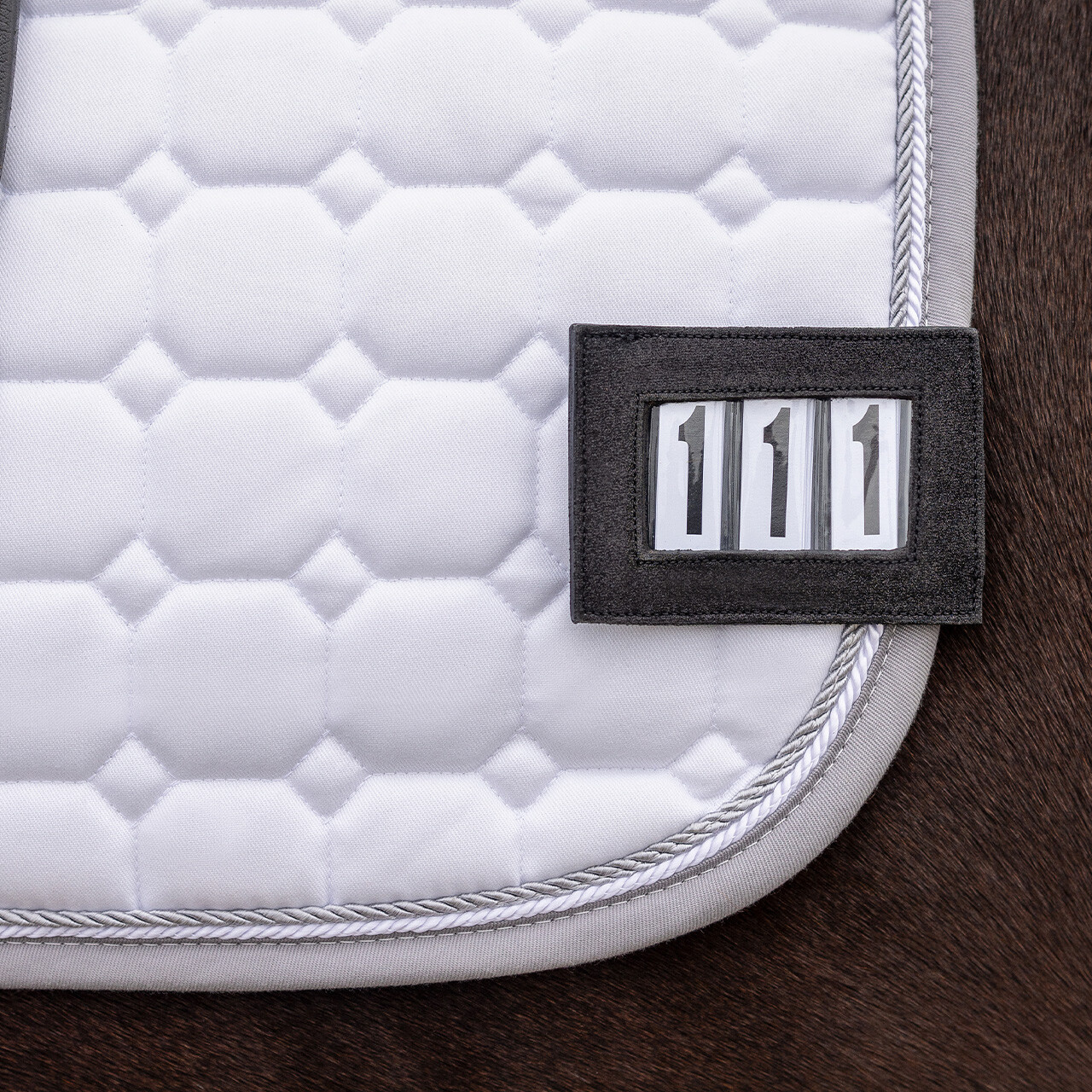 QHP Nummerhouder Clip Shine - Zwart