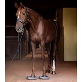 Waldhausen Health + Care balanskussens