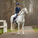 QHP Complete zadel set Melbourne - Bruin