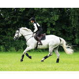 QHP Bodyprotector cover Glitter - Zwart