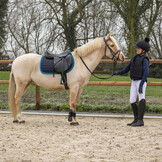 QHP Bodyprotector cover Glitter - Zwart