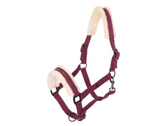 Imperial Riding Halster Jewel - Fig
