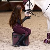 Imperial Riding Grooming Box Shiny - Fig