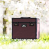 Imperial Riding Grooming Box IRHShiny - Fig