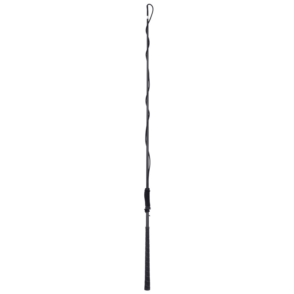 Harry's Horse Longeerzweep Carbon Telescoop - Zwart