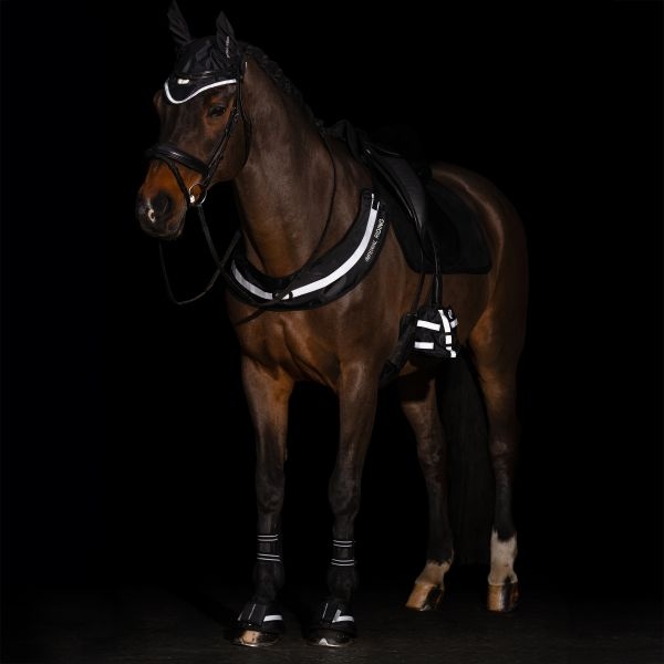 Imperial Riding Oornetje Luminous - Zwart