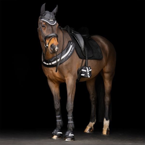 Imperial Riding Oornetje Luminous - Zwart