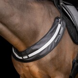 Imperial Riding Borsttuig Luminous - Zwart