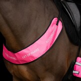 Imperial Riding Borsttuig Reflective - Pink