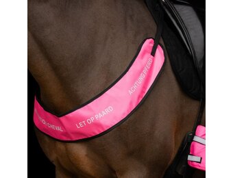 Imperial Riding Borsttuig Reflective - Pink