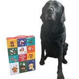 Relaxpets - Honden kerst cadeau - Kerst 2025 - 12 unieke speeltjes voor de hon