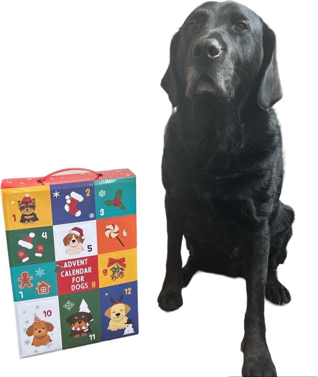 Relaxpets - Honden kerst cadeau - Kerst 2025 - 12 unieke speeltjes voor de hon