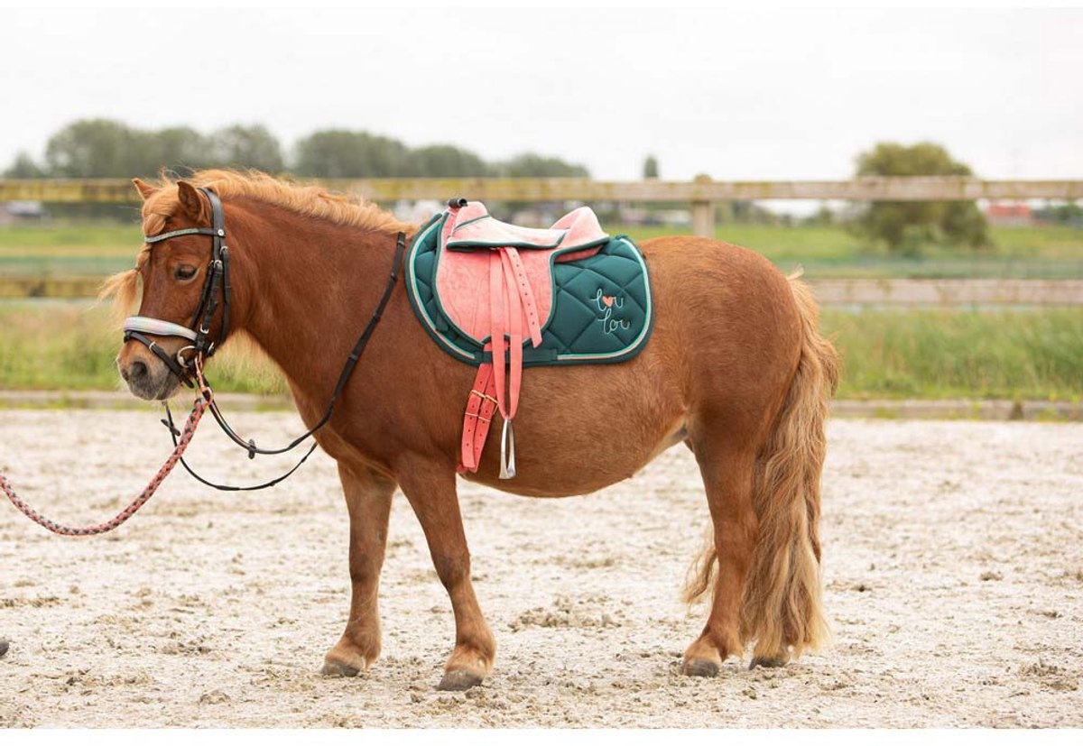 Harry’s Horse LouLou25 Kinderzadel Roze – Shetlander – Inclusief Stijgbeugels, Singel en Rieme
