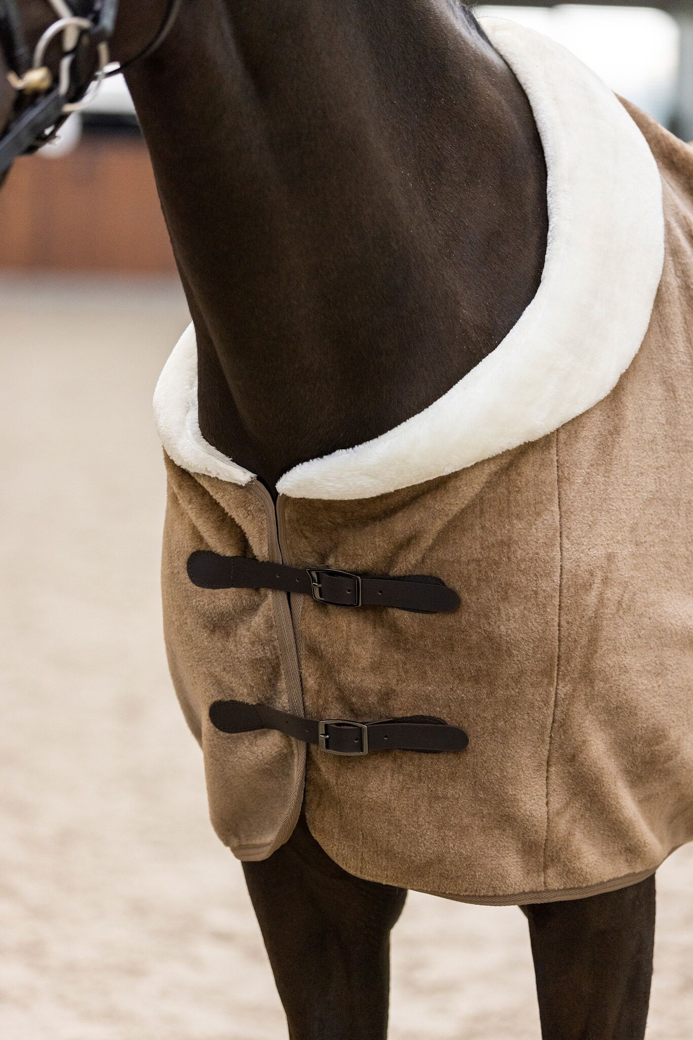 Imperial Riding Fleecedeken Ambient Galaxy - Cappuccino