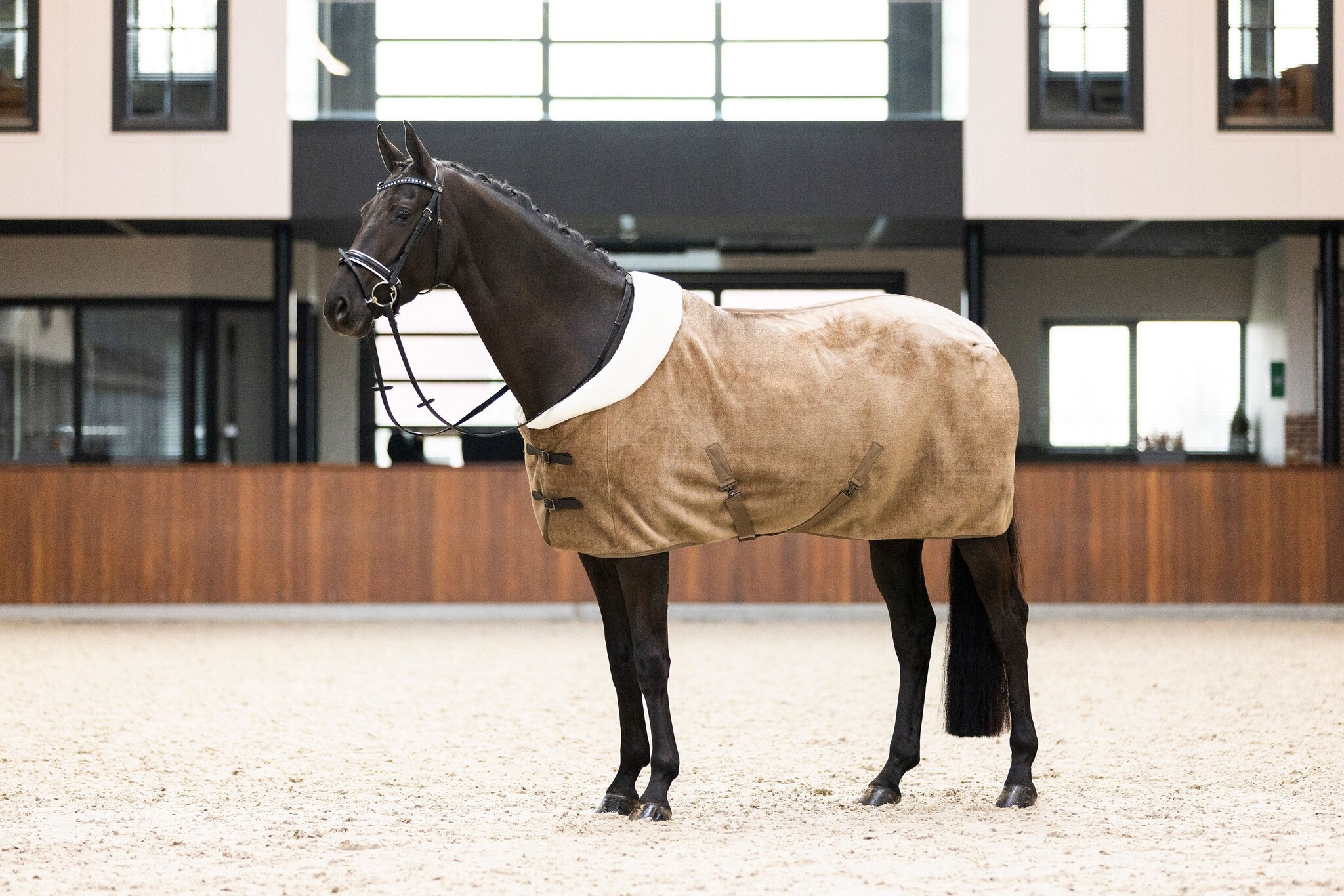 Imperial Riding Fleecedeken Ambient Galaxy - Cappuccino