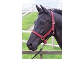 Harry's Horse Halster Bit - Bordeaux