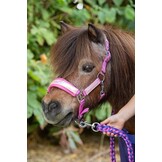 Harry's Horse Halsterset Diva Violet - Cyclamen - Maat Pony