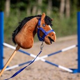 QHP Halsterset Hobby Horse - Kobalt Blauw